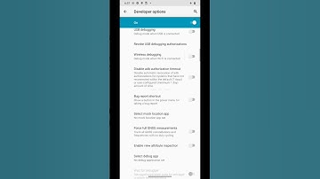 Reset {  } Dev | Default Dev Settings | Moto G10 Power | Moto