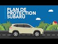 Plan de protection Subaru