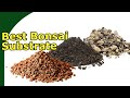 What is the best bonsai substrate understand bonsai substrate