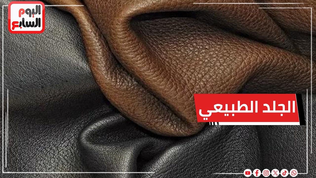 ���� ����� ��� ����� ������� ���� �����.. ���� ��� ������ ��������
 - نشر قبل 12 دقيقة