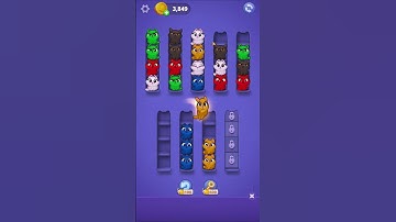 Kitty Sort: Twisted Tails Level 86 | Funny Games