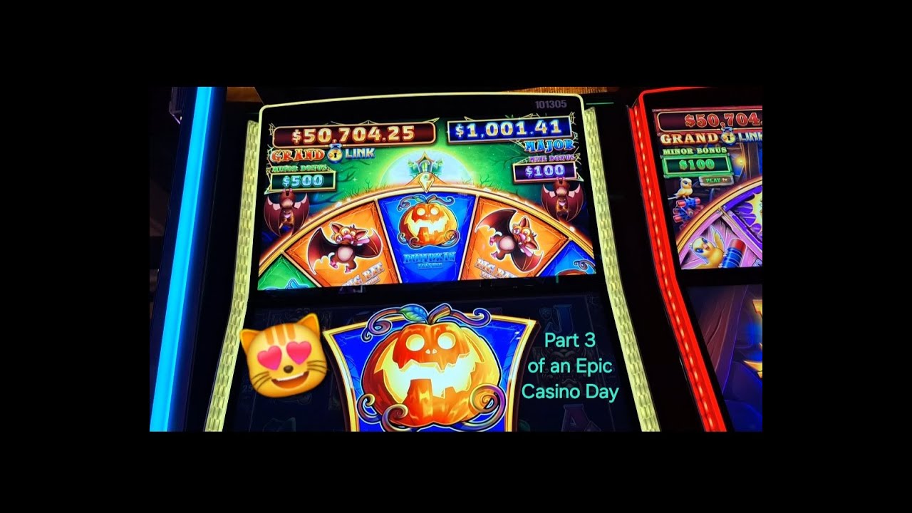 Кошки, шляпы и ещё больше летучих мышей 🐈‍⬛🎩🦇 + Стэмпэш 🦬 Огненная гора 🔥+ Монгольская орда «Небо...