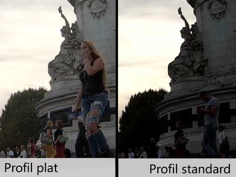 Profil plat vs profil standard