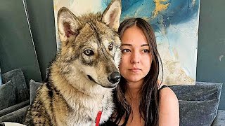 Girl Rescued An Orphaned Wolf Cub And Raised It As A Dog What Happened Next Shocked Everyone