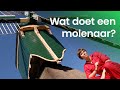 Wat doet een molenaar