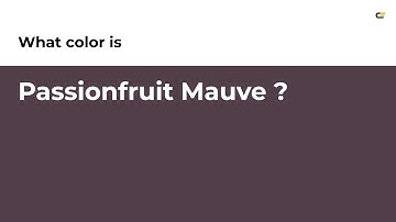 Passionfruit Mauve color #513e49 hex color - Grey color - Cool color 513e49