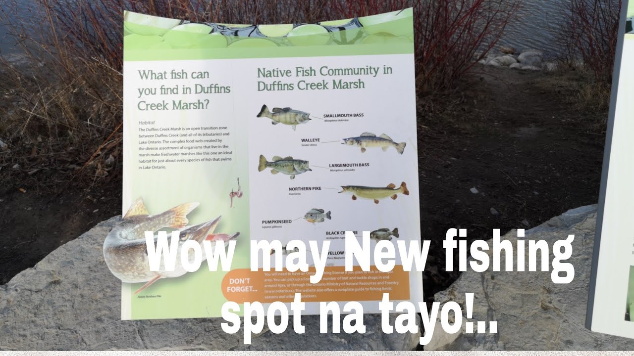 new fishing Spot... Pickering Ontario Canada 🇨🇦