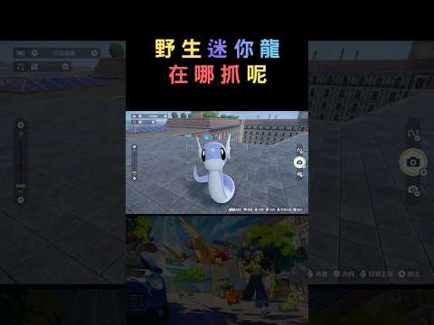 [寶可夢ZA] 迷你龍要去哪裡抓呢 #pokemon#寶可夢ZA