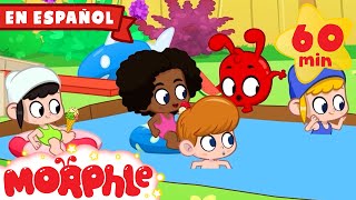 Morphle en Español | Una piscina en el jardín | Caricaturas para Niños | Recopilación