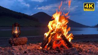 4K Real Campfire Sounds by the Lake | Crackling Fire, Birds & Nature Sounds