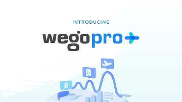 WegoPro - Modern Business Travel & Expense Management Platform