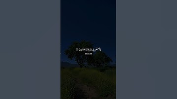 انشــر تؤجــر الدال على الخــير كفــاعلـه🤍🎧 #ياسر_الدوسري #قرآن_کریم #quran #تلاوة_هادئة #أرح_سمعك