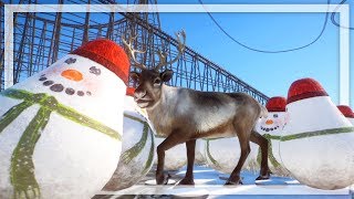 I Made A Frozen Zoo That Overly Enriches It's Animals in Planet Zoo Arctic DLC