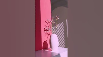 سورة الإخلاص //تلاوه خاشعه// 🌺🥺حالات واتس اب مقاطع قصيره