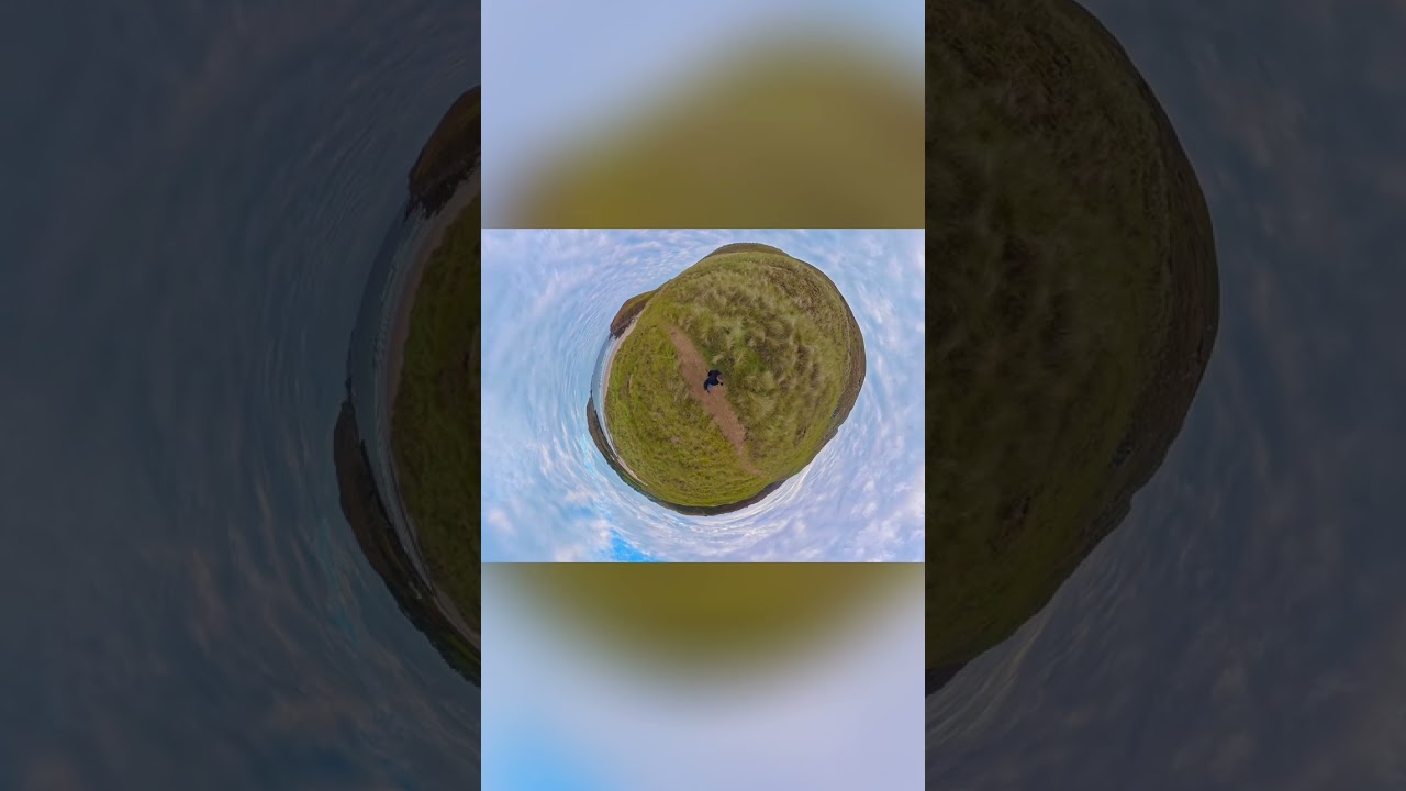 Emptying the Toilet: A Wild and Unexpected Adventure! #shorts