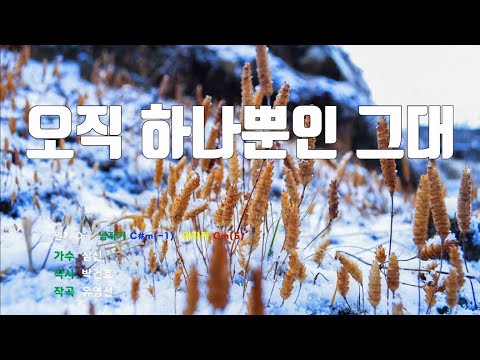 [은성 반주기] 오직하나뿐인그대 - 심신 노래 / MR / 가사 / 반주