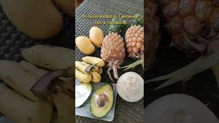 Фруктовая Корзина На 500 Руб 200 Бат В Таиландепхукет