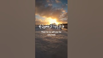 #تلاوات #تلاوة #تلاوة_خاشعة #تلاوة_هادئة #تلاوة_مميزة #قران #قران_كريم #قرآن #قرآن_كريم