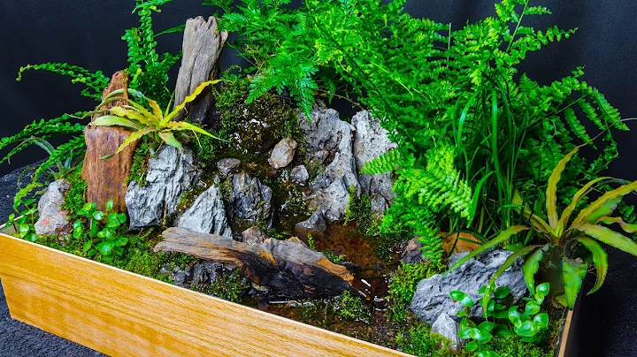 DIY Moss Forest Waterfalls and Pond Table Top Planter
