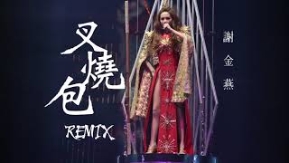 謝金燕 - 叉燒包 (中式 Style Remix)