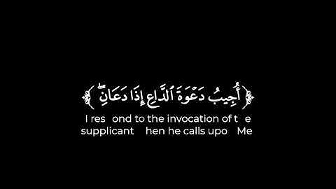 كروما شاشة سوداء قرآن كريم   تلاوة من سورة البقرة   القارئ وديع اليمني