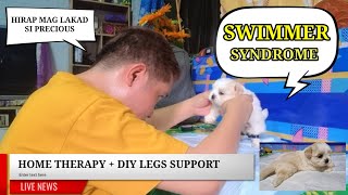 PRECIOUS PUPPY WITH SWIMMER SYNDROME| (Home Care Treatment)