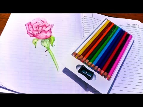 how to draw a rose | drawing tutorial |python for beginners|how to draw | learn to draw |