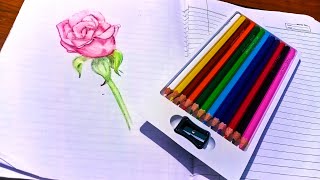 how to draw a rose | drawing tutorial |python for beginners|how to draw | learn to draw |