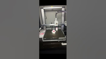 Printing a duck for every subscriber, this video gets