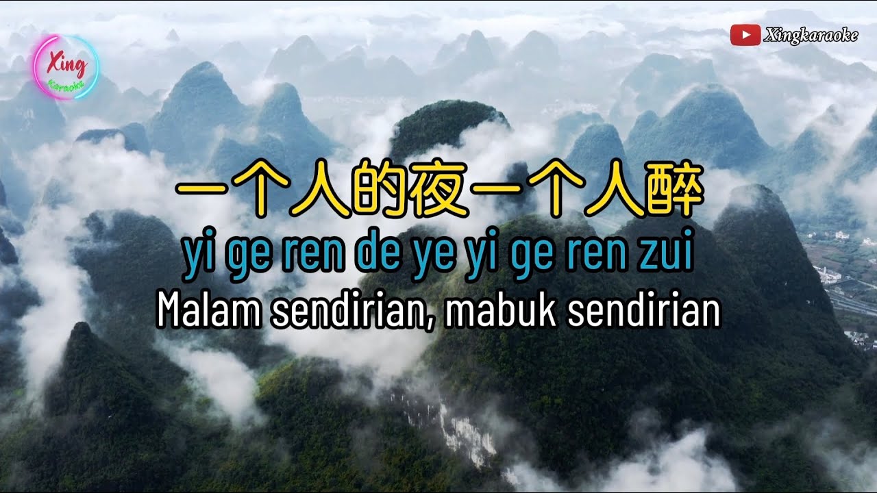 Yi Ge Ren De Ye Yi Ge Ren Zui 一个人的夜一个人醉🎵演唱🎵李英 COVER