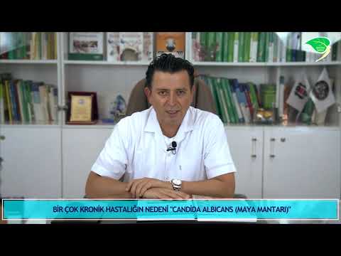 Video: Candida albicans harada tapılır?