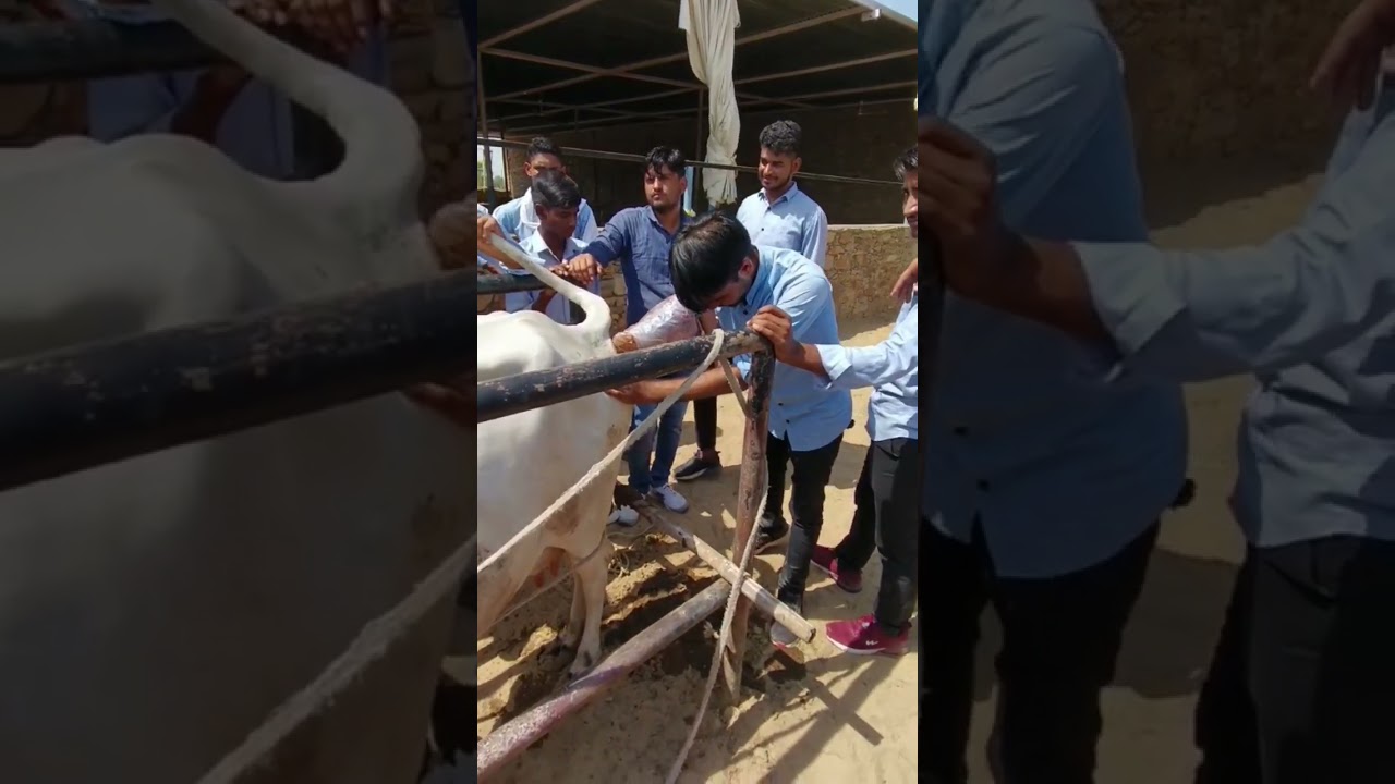 AHDP Admission Open 9610332147