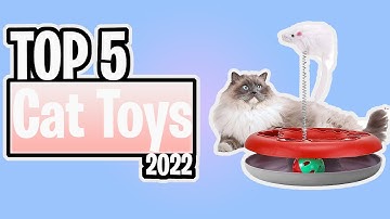 TOP 5 Best Cat Toys of 2022