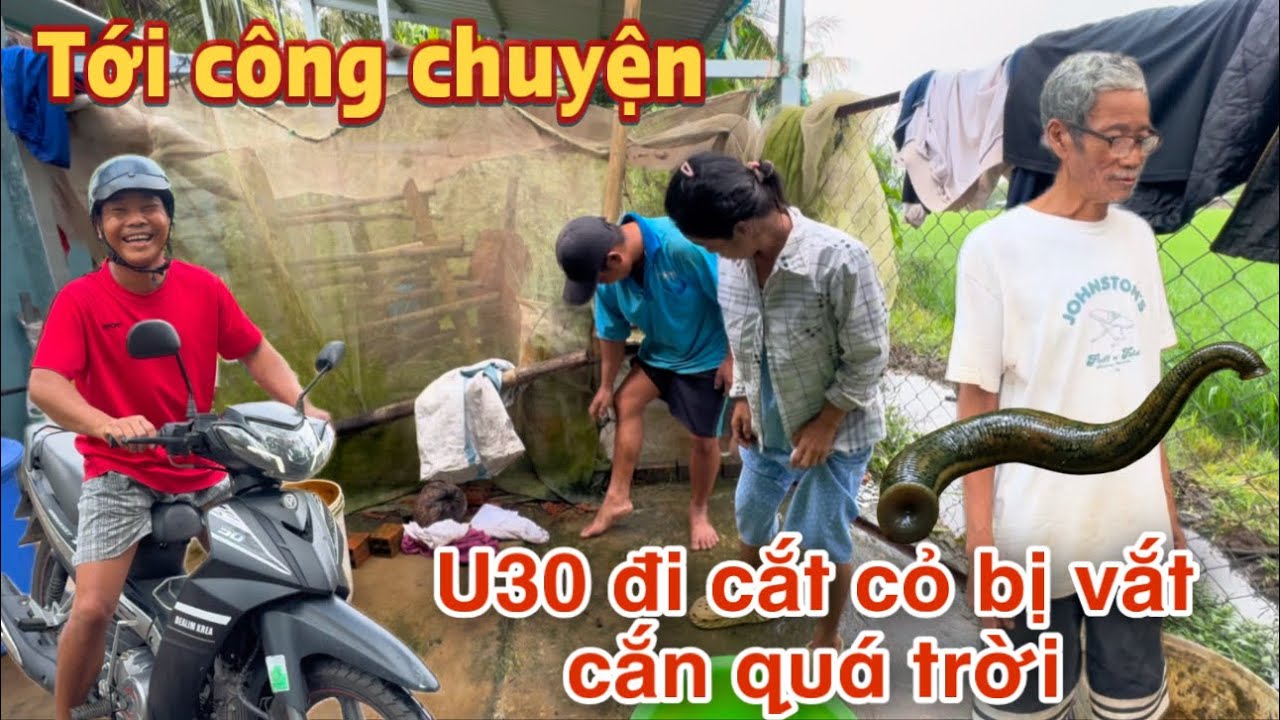 Bất ngờ U30 đi cắt cỏ nay được bị đàn vắt cắn quá trời vào buổi sáng sớm #u30 