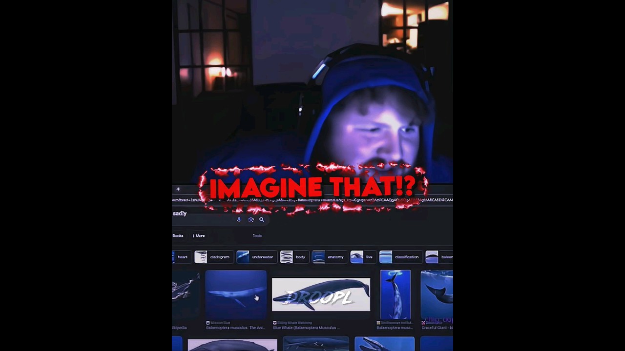 Зритель CaseOh называет его Китом 🐋 🐳 