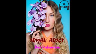 Irmak Arıcı - Düş Yakamdan (8D ) Resimi