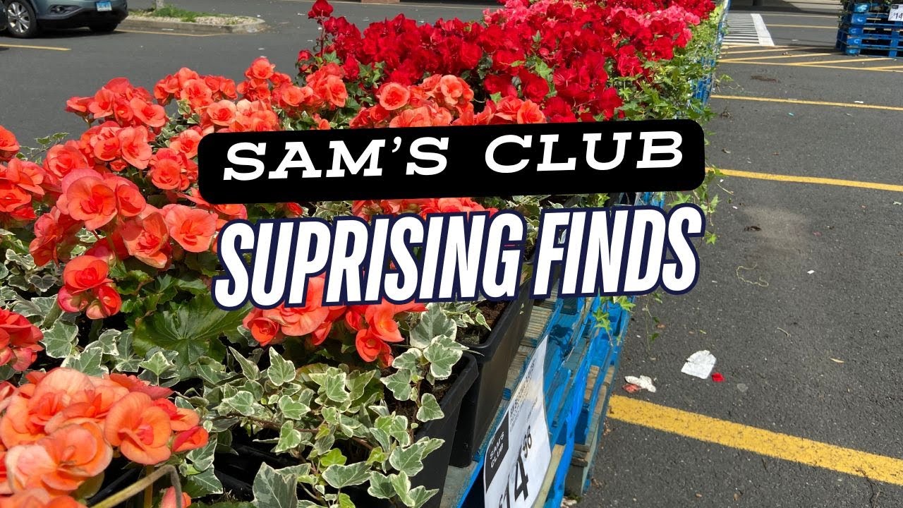 I Didn’t Expect to Find These Plants at Sam’s Club!
