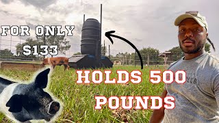 A Family Fun Day | Building The Ultimate Pig Feeder