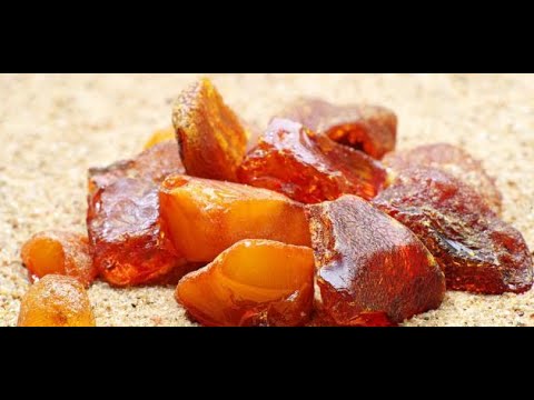 العنبر العنبر مادة معجزة لعلاج العقم وامراض أخرى