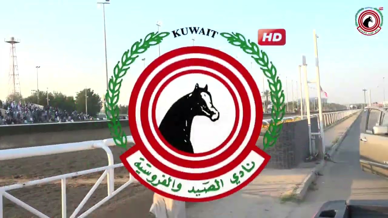 الاجتماع ( 16 ) الشوط ( 4 ) الجواد الغادي / اسطبل السماوي