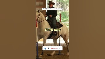 Blind horse with 3 world records! #blind #horse #worldrecord