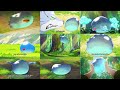 Cutest slime besides rimuru sui compilation  campfire cooking in another world