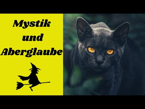 Video: Katzenartige Schwangerschaft: Wie man für eine schwangere Katze sich interessiert