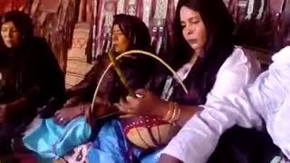 Imzad Et Amadal Touareg