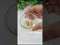 Homemade Shilajeet Recipe Revealed By Nitesh Soni's Ji #short #shorts #youtubeshorts #shortsfeed