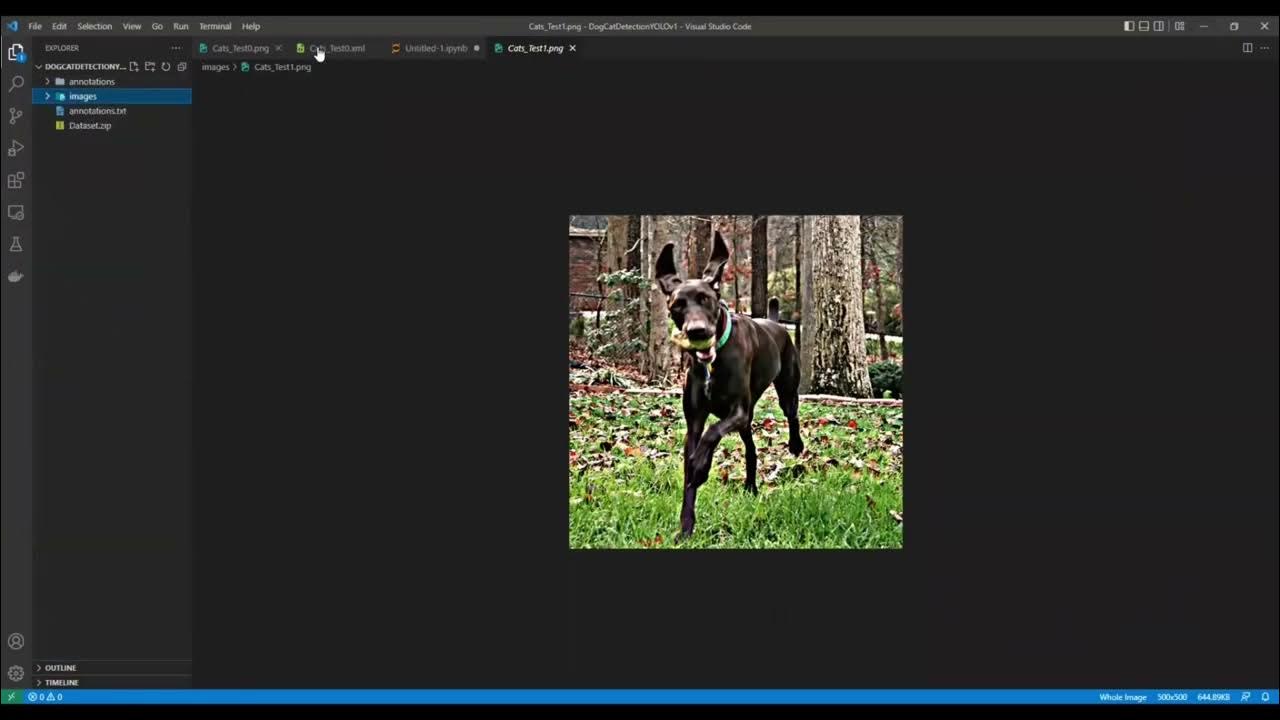 Yolo v1 from scratch using Tensorflow - Part 1: Preprocessing Data ...
