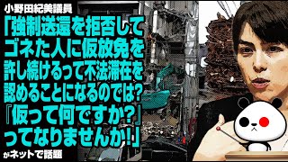 小野田議員「強制送還拒否してゴネた人に仮放免を許し続けるって、不法滞在を認めることになるのでは？『仮って何ですか？』ってなりませんか！」が話題