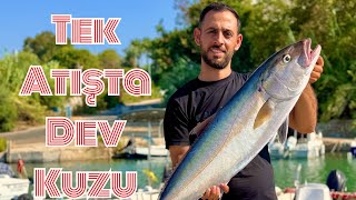 Balıkçılıkta Efsane An Jig Ile Dev Kuzu Balığı Avı..
