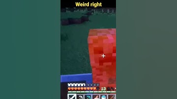 Weird Creeper explosion 🤔