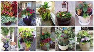 127 + Container Garden Design Ideas For Backyard, Porch, Lawn & Balcony You Can DIY. @decorabout